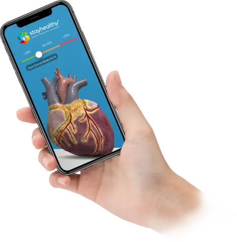 Una mano sostiene un teléfono con el AR Organ Visualizer, que muestra un corazón en 3D